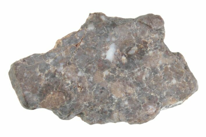 Lunar Meteorite ( g) Slice - Laayoune #381702